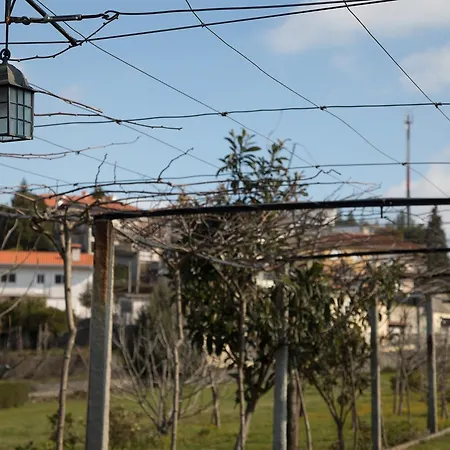 Solar Laranjeiras Vale de Cambra