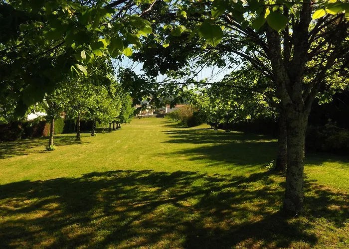 太阳能达斯拉兰热拉斯酒店 酒店