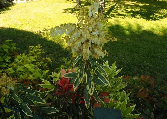 호텔 Solar Laranjeiras 2*